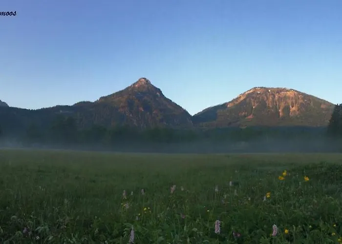 Knusperhaus Σπίτι διακοπών